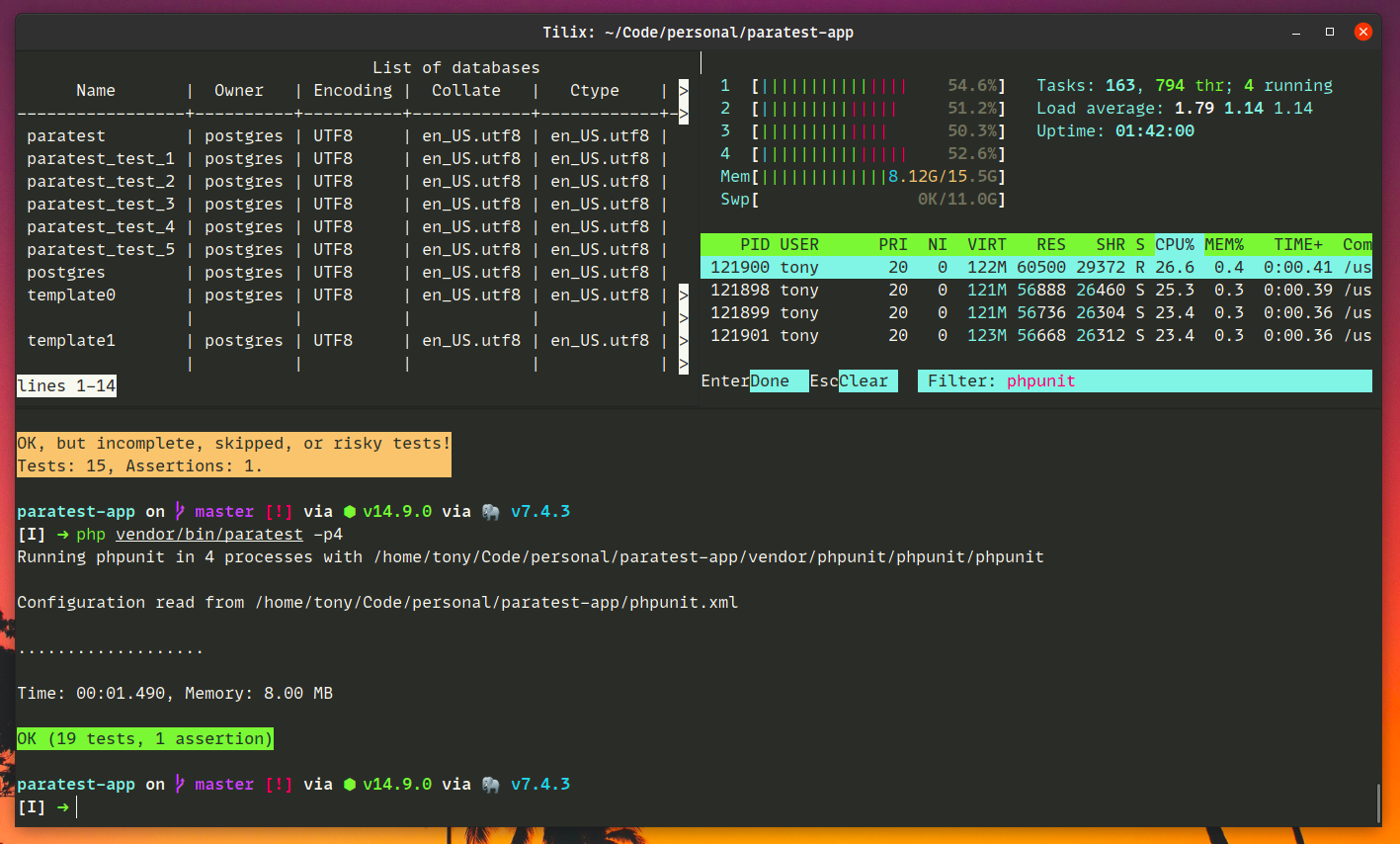 Laravel and Paratest